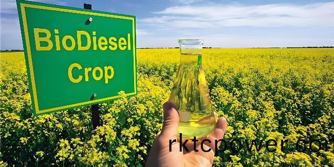 22處生物柴油(you)推廣應用試點！重(zhong)新聚焦餐(can)廚垃圾資(zi)源化！