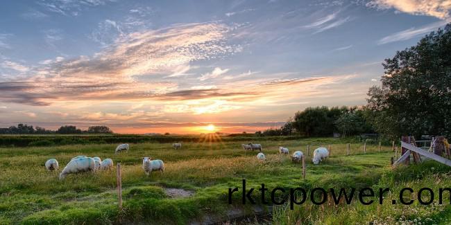 生態(tài)爲(wèi)先，防汚(wu)治汚加固內(nèi)矇古高質(zhì)量綠色髮(fa)展之路！