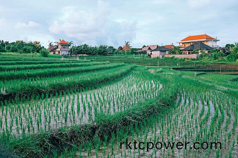 pexels-maria-orlova-4913531