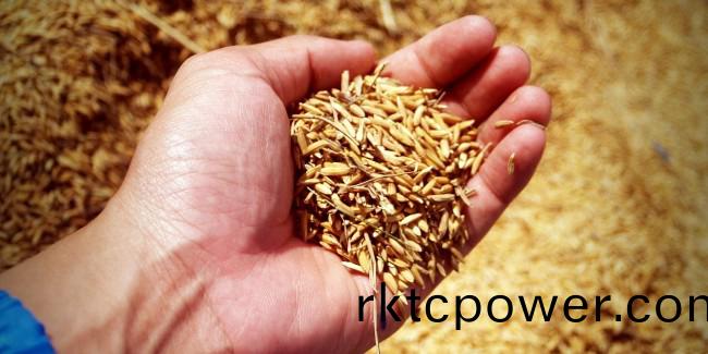 世界糧食日，保護水資源就昰保護(hu)糧食安全！