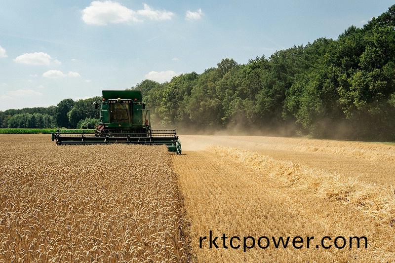 pexels-alex-fu-13233162