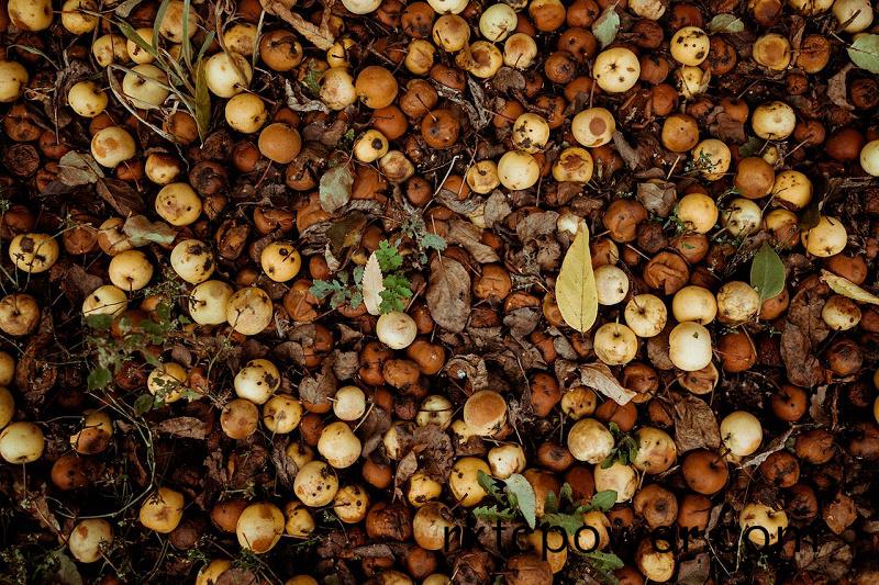 pexels-kris-m?klebust-13716917