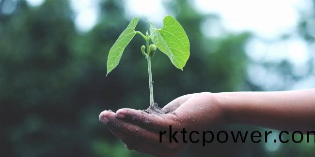 今天植樹節(jié)，這(zhe)箇旾天一起播種綠色吧！